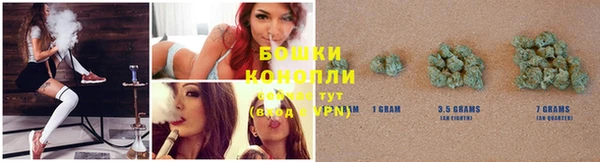 ПСИЛОЦИБИНОВЫЕ ГРИБЫ Верхний Тагил