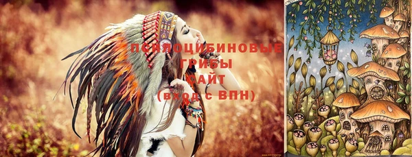 крисы Волоколамск