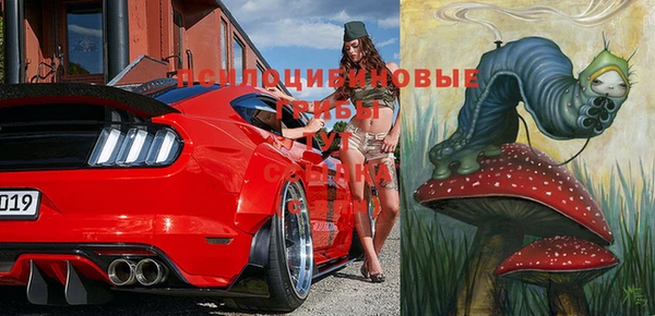 ПСИЛОЦИБИНОВЫЕ ГРИБЫ Верхний Тагил
