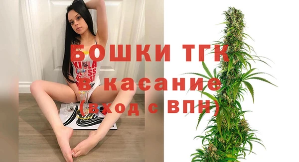 ПСИЛОЦИБИНОВЫЕ ГРИБЫ Верхний Тагил