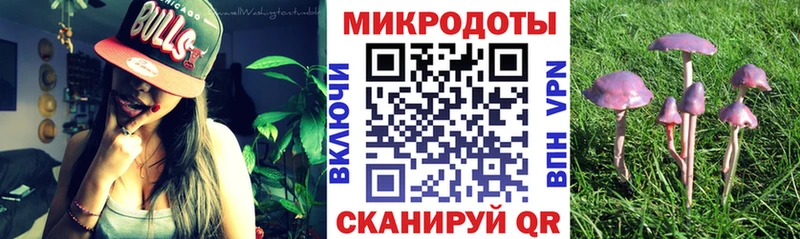 Галлюциногенные грибы Psilocybe  кракен зеркало  Гагарин 