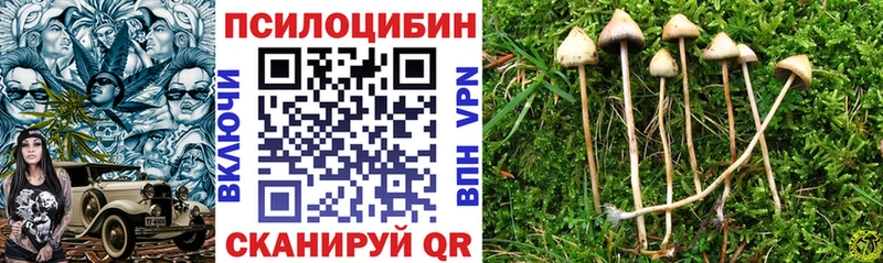 Псилоцибиновые грибы ЛСД Гагарин